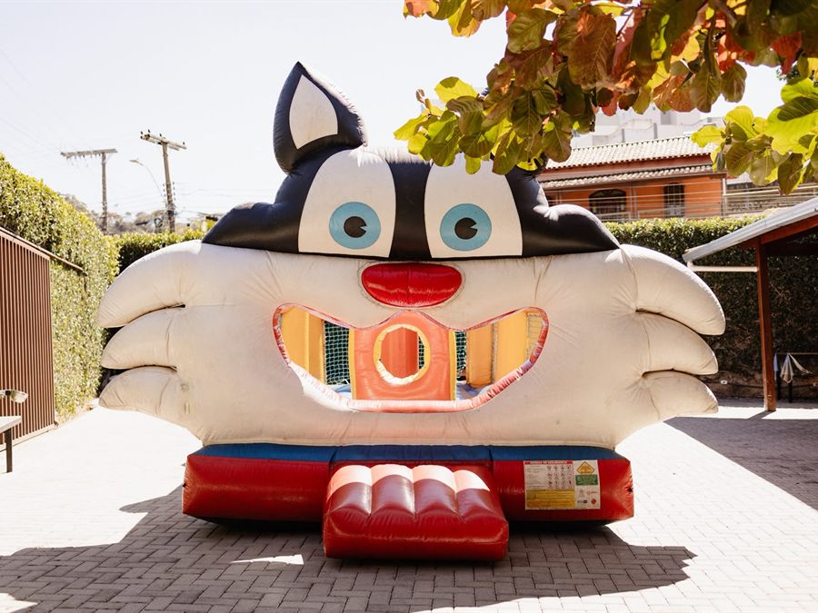 Pula-pula Gato